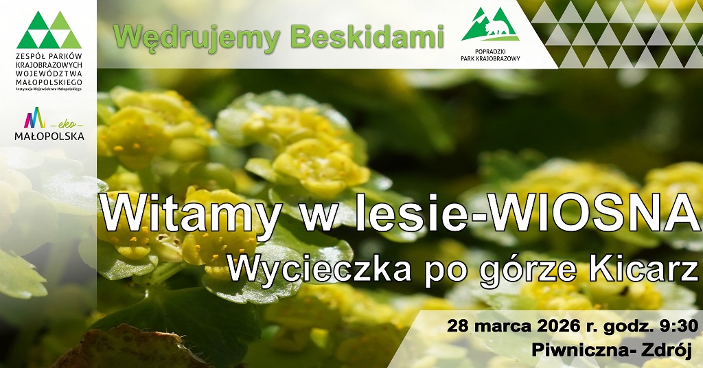 Wycieczka po górze Kicarz